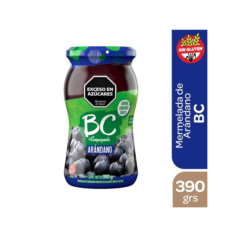 BC MERMELADA ARANDANO x390g.